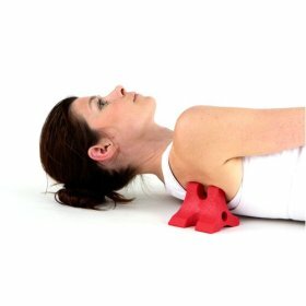 davinci.jpg (8052 bytes)